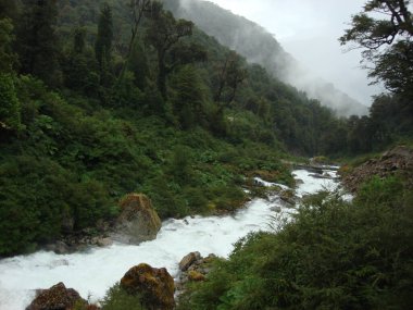 Şili, Aysen şehrine giden yol. Bu güzel ve sel gibi nehri geçtik..
