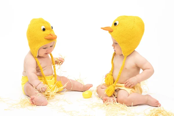 Два малыша в куриных костюмах — стоковое фото