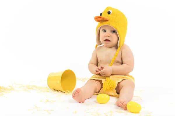 Easter baby duck — Stock Photo, Image