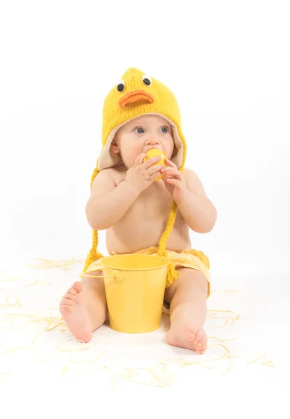 Easter baby duck — Stock Photo, Image