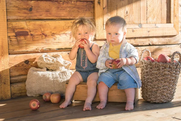 Niña y niño sentado en una caja de madera y comiendo manzanas Imagen De Stock