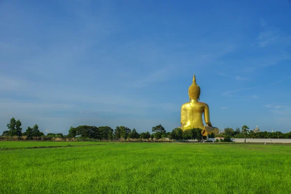 Back of Buddha Image — Stock Photo, Image