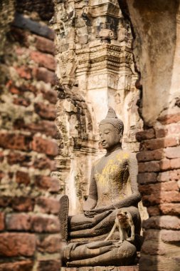 Buda resim