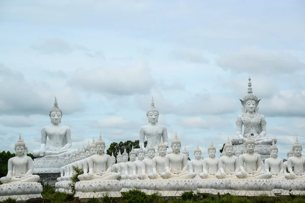 Gruppe weißer Buddhas — Stockfoto