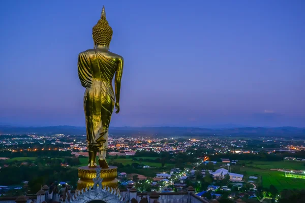 Imagen posterior de Buddha — Foto de Stock