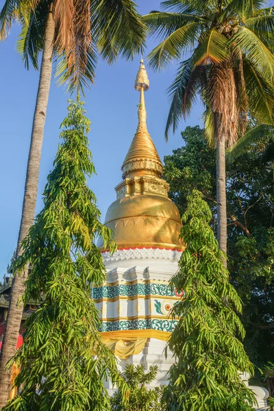 Gold and White Pagoda — Stock Photo, Image