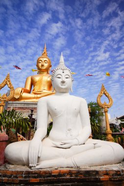 Altın ve beyaz Buda resim
