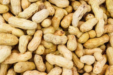 haşlanmış fıstık