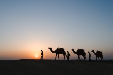 Siluet deve Thar Çölü'nde