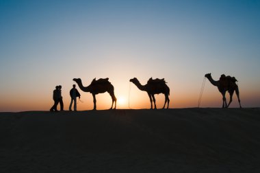 Siluet deve Thar Çölü'nde