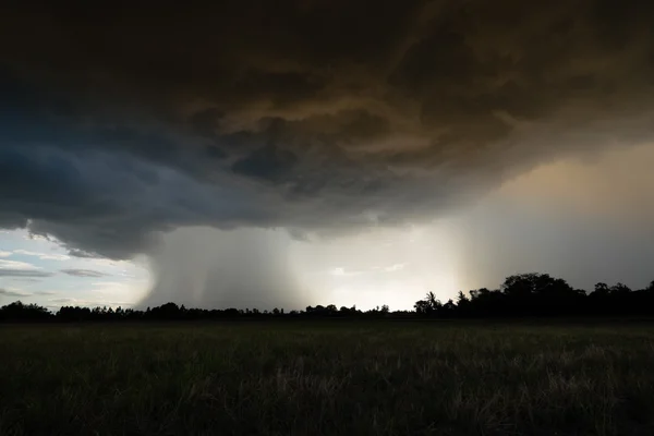 Regensturm lizenzfreie Stockbilder