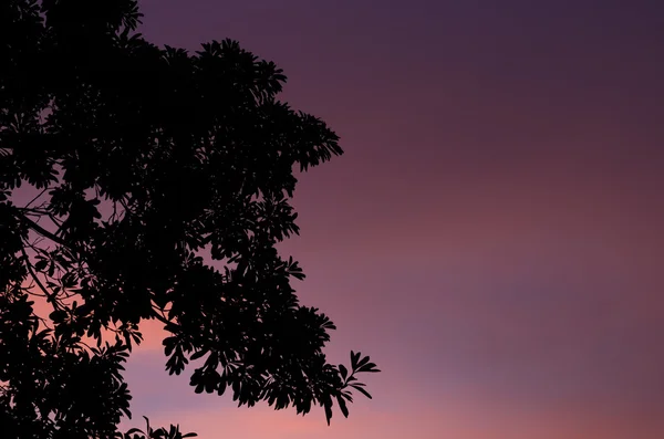 A última luz do dia . — Fotografia de Stock