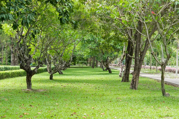 Güzellik doğa arka plan