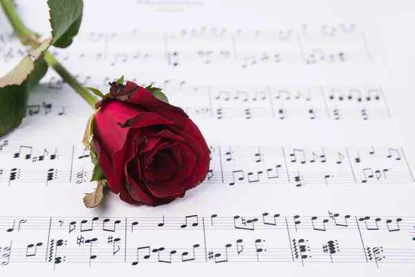 Red rose and sheet music. Royalty Free Stock Images