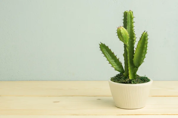 Cactus sobre mesa de madera, tono vintage — Foto de Stock