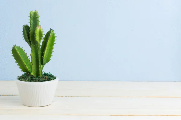 Cactus sobre mesa de madera — Foto de Stock