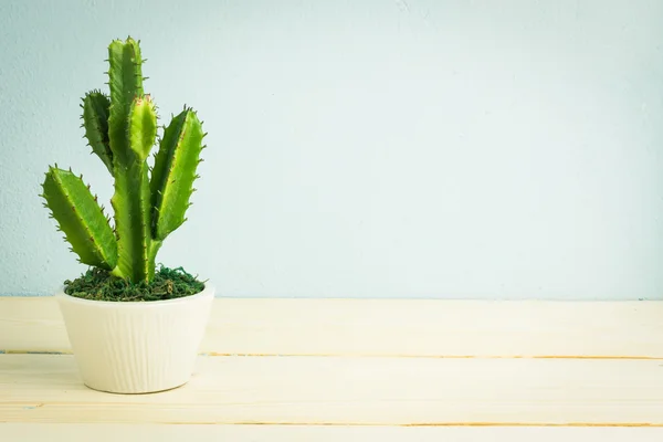 Cactus sobre mesa de madera, tono vintage — Foto de Stock