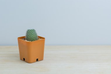 Kaktüs ahşap tablo