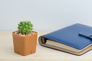 Bir kitap bir vazo dekor kaktüs 