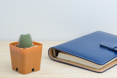 Bir kitap bir vazo dekor kaktüs 