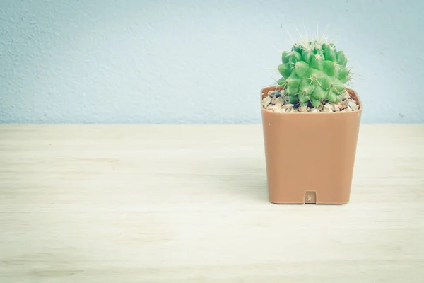 Kaktus na drewnianym stole, sztuka ton — Zdjęcie stockowe