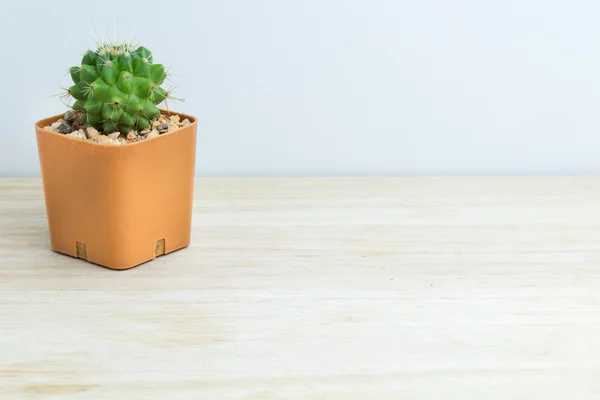 A fából készült asztal kaktusz — Stock Fotó