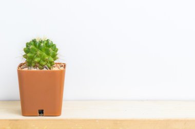 Kaktüs ahşap tablo