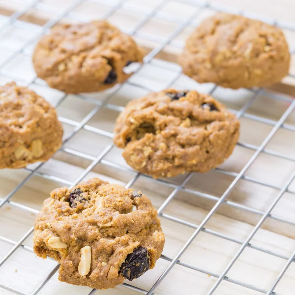 Galletas de pasas caseras . —  Fotos de Stock