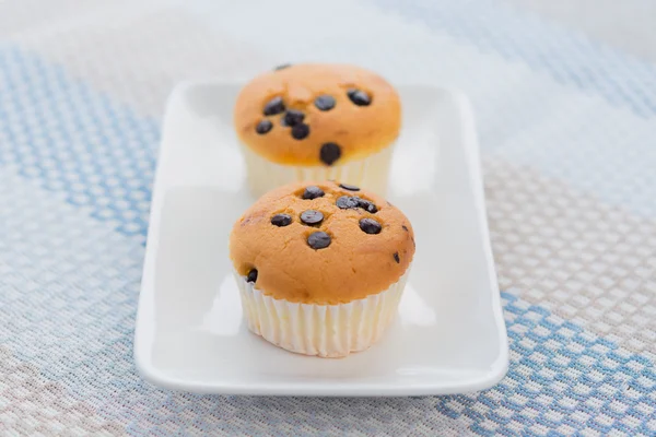 Chocolate Chip Cupcakes — Stock Photo, Image