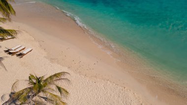 Rayang Adası plajının havadan görünüşü, kumsalda hindistan cevizi ağacıyla mavi deniz dalgası.