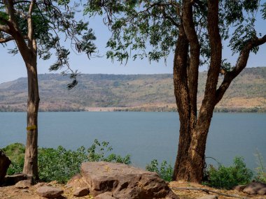trees grow at Lamtakong dam border, blue water lake, travel destination in Nakhon Ratchasima, Thailand