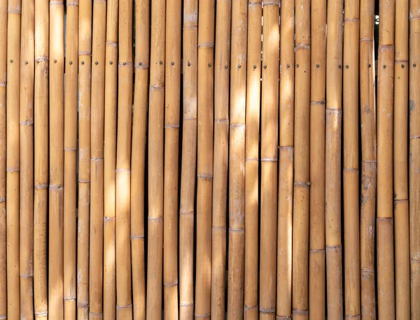 Large Image Yellow Bamboo Poles Wall Natural Light Spot Bamboo — Stock Photo, Image