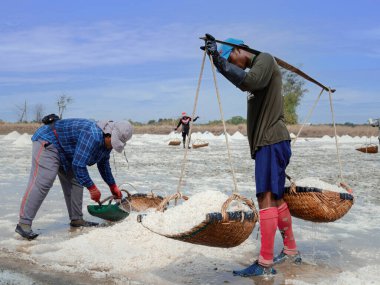 Phetchaburi, Tayland - 4 Nisan 2021: Tanımlanamayan Salters veya Tuzlu işçiler Ban Laem, Phetchaburi, Tayland 'da ahşap sepet kullanarak deniz tuzu toplayan insanlar