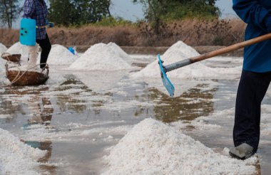 Tuzlu ya da tuzlu işçiler ekipmanları kullanarak ahşap sepetlere tuz atıyorlar, Tayland 'da geleneksel tuz üretiminde ürün topluyorlar, deniz tuzu hasat eden çiftçiler.