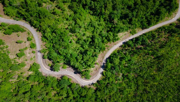 Vista Aerea Dall Alto Curve Carreggiata Passare Attraverso Fresca Foresta — Foto Stock