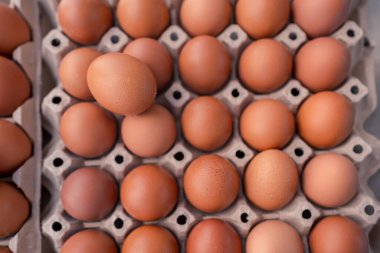selective focus chicken egg on eggs in paper tray container background. fresh egg for cooking