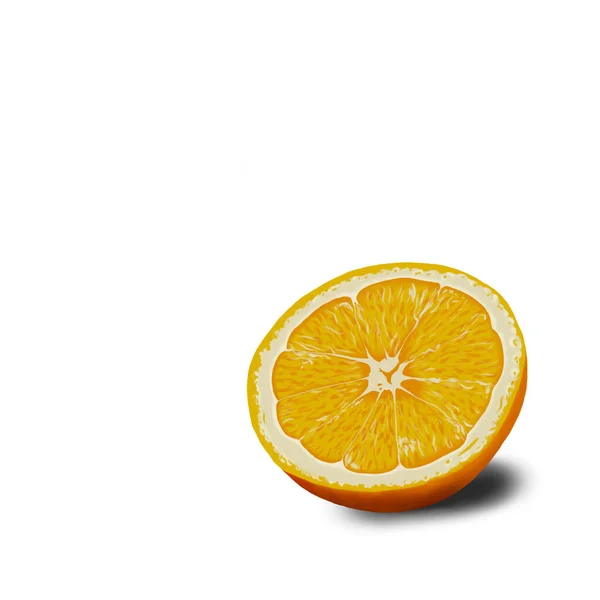 Izolált Rajz Félig Vágott Narancs Fehér Háttér — Stock Fotó