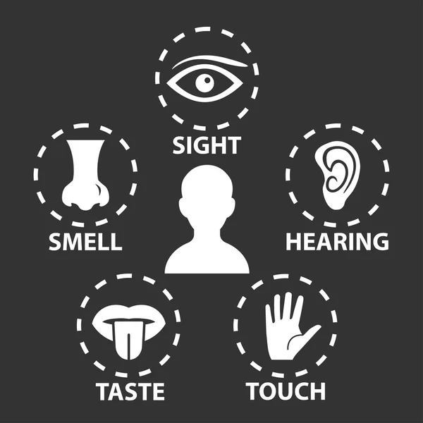 Five senses icon set — Stock Vector