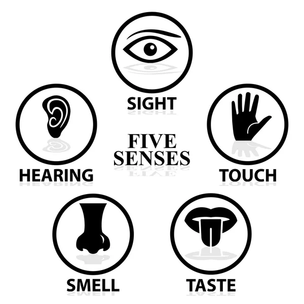Five senses related vector icon set — Stock Vector