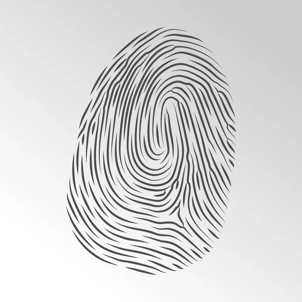 Fingerprint vector — Stock Vector