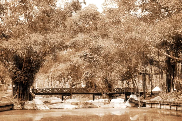 Ponte de madeira no parque Fotografia De Stock