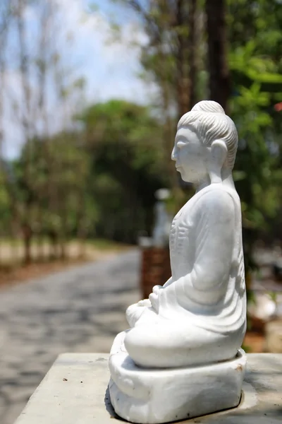 Estatua de buda mable blanca — Foto de Stock