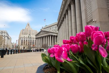 New york Yüksek Mahkemesi