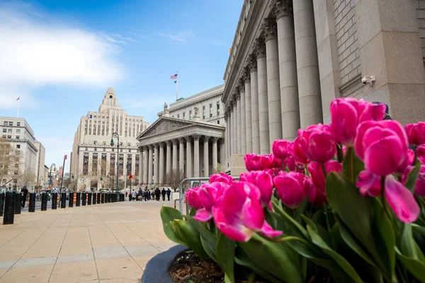 New york Yüksek Mahkemesi