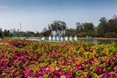 Ibirapuera Parkı ve Sao Paulo Dikilitaş