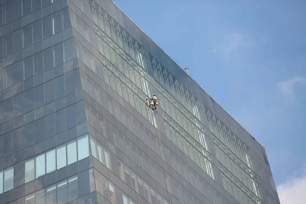 Sao Paulo Brésil Octobre 2020 Travailler Hauteur Nettoyant Pour Vitres — Photo