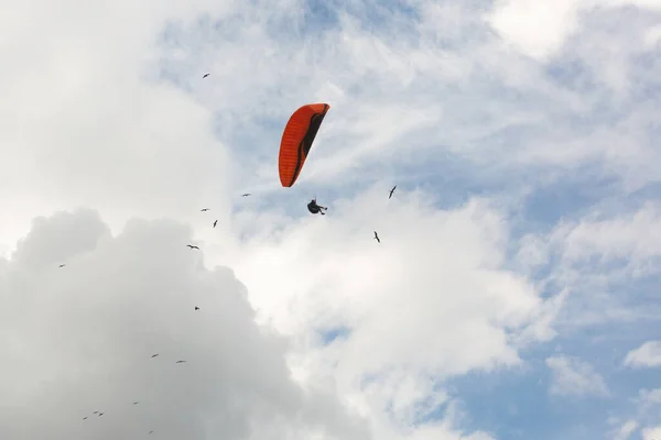 Voando Parapente Com Pássaros Dia Nublado — Fotografia de Stock