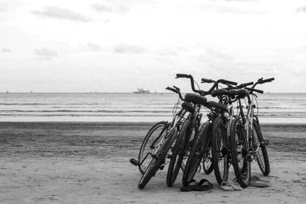 Bicicletas Enfiadas Praia Com Horizonte Mar Fundo — Fotografia de Stock