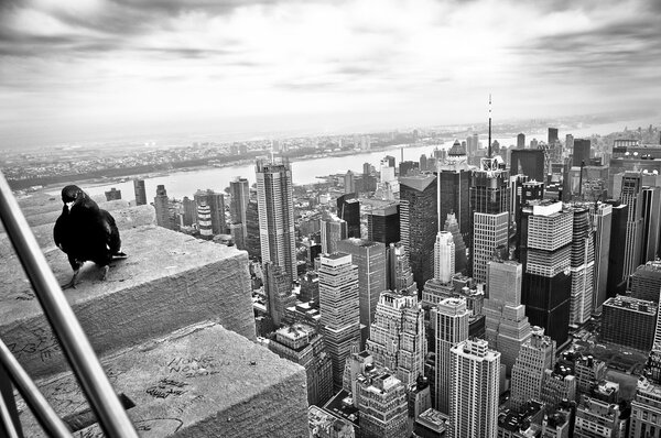 Aerial view of new york in black and white photography