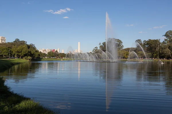 Sao Paulo, Parque Ibirapuera —  Fotos de Stock